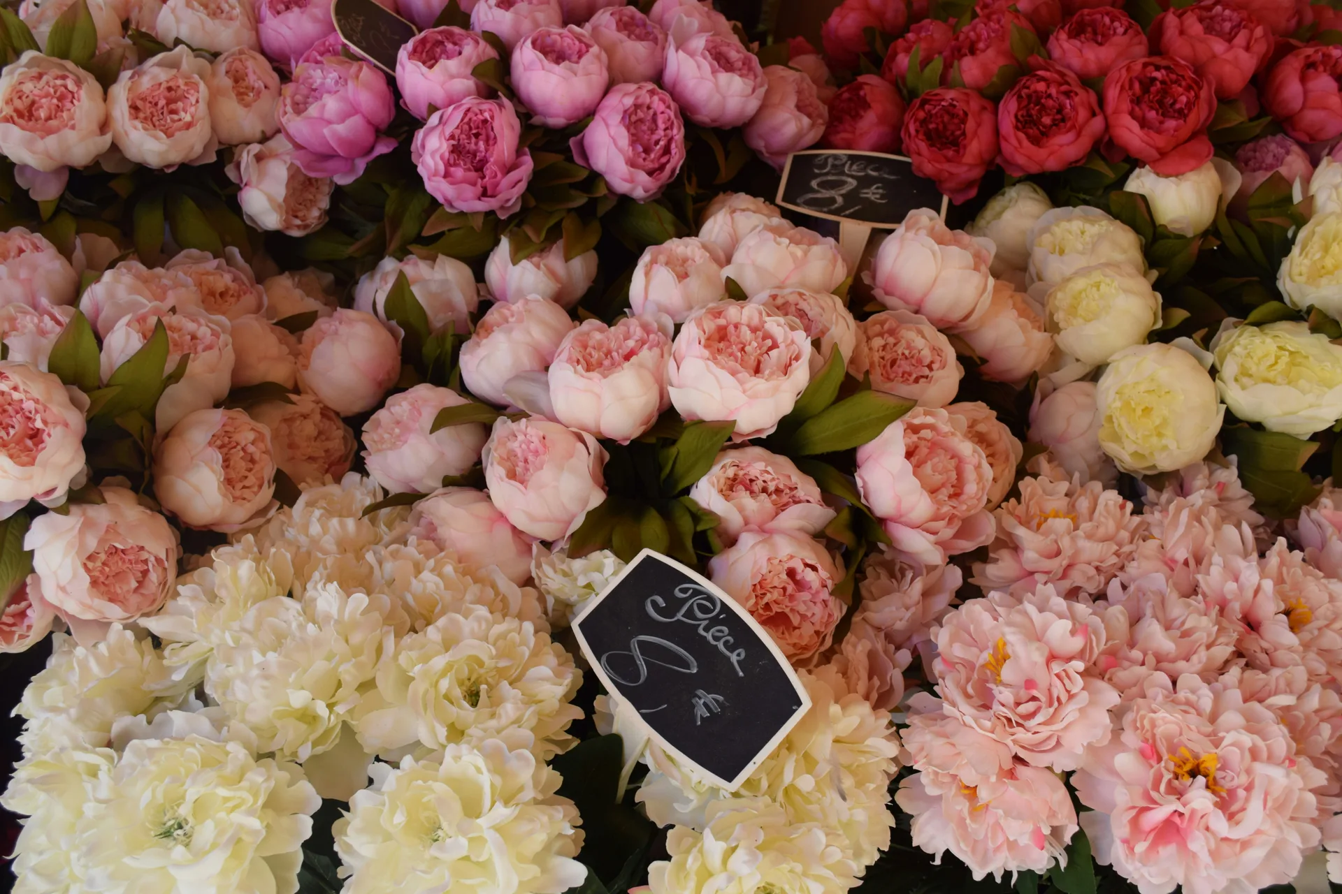 Florist website style — Flower shop