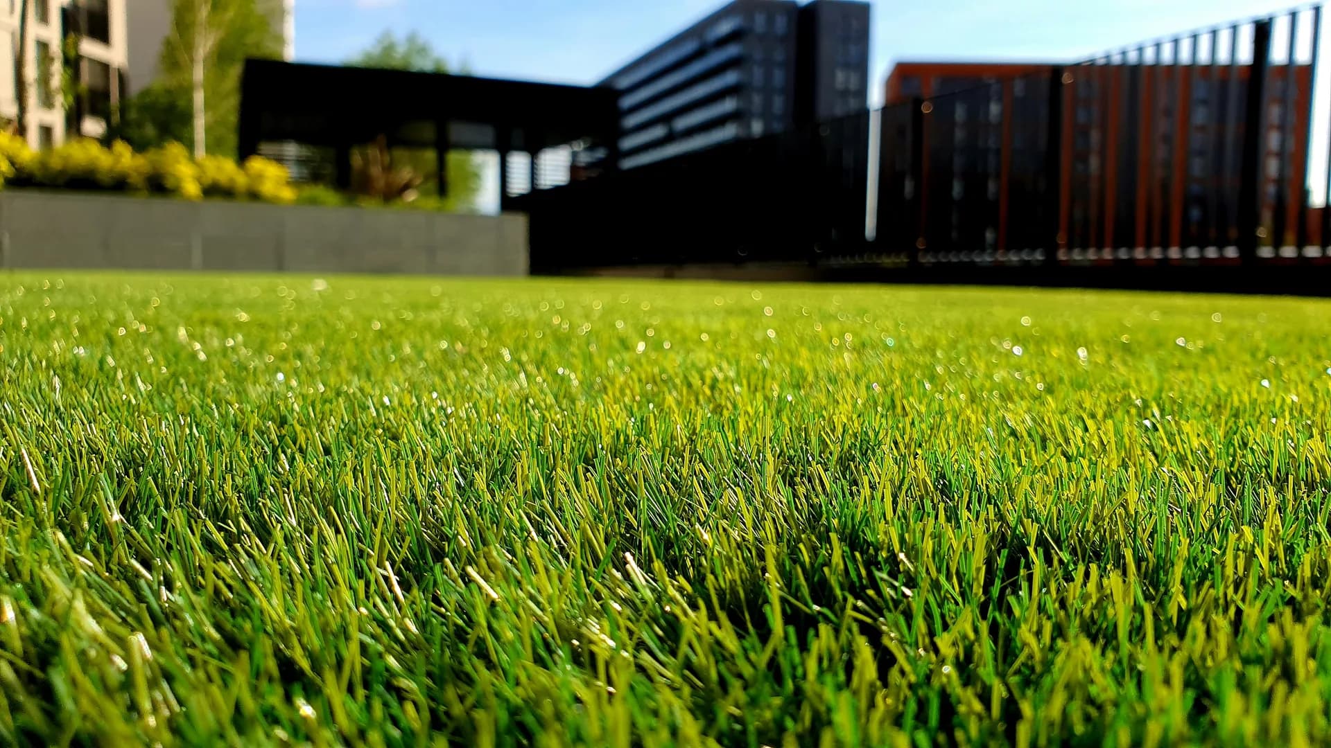 Lawn care website style — Lawn care